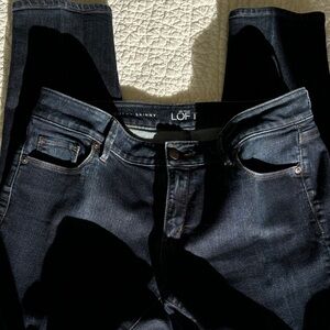 Ann Taylor Loft Curvy Skinny Jeans